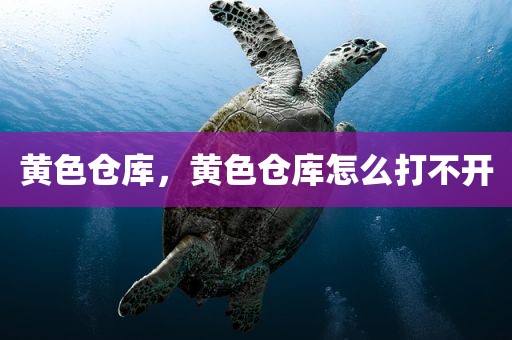 黄色仓库，黄色仓库怎么打不开