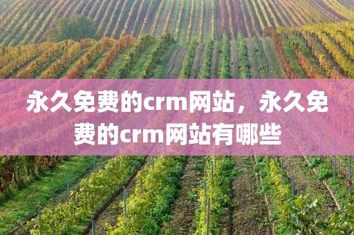 永久免费的crm网站，永久免费的crm网站有哪些