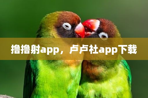 撸撸射app，卢卢社app下载