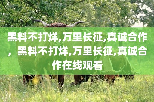 黑料不打烊,万里长征,真诚合作，黑料不打烊,万里长征,真诚合作在线观看