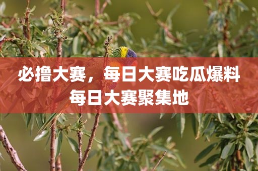 必撸大赛，每日大赛吃瓜爆料每日大赛聚集地