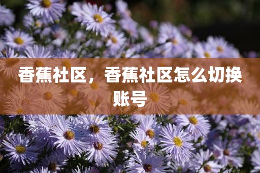 香蕉社区，香蕉社区怎么切换账号