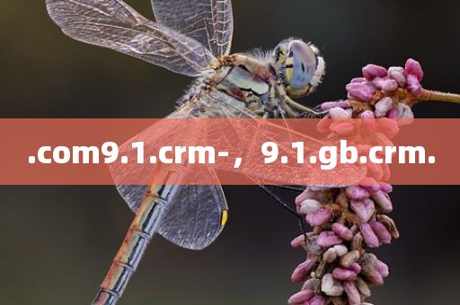 .com9.1.crm-，9.1.gb.crm.