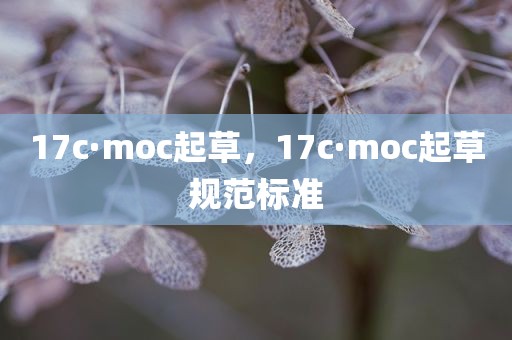 17c·moc起草，17c·moc起草规范标准
