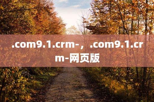 .com9.1.crm-，.com9.1.crm-网页版