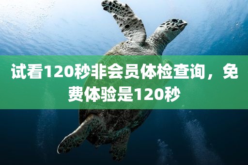 试看120秒非会员体检查询，免费体验是120秒