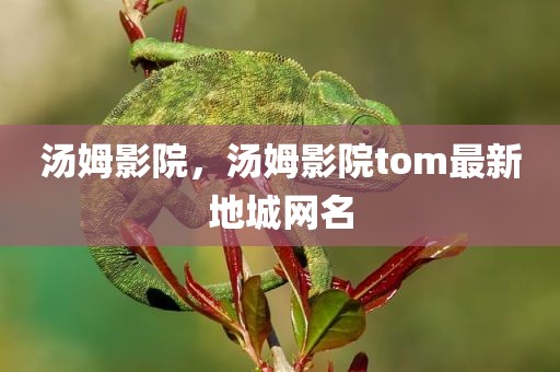 汤姆影院，汤姆影院tom最新地城网名