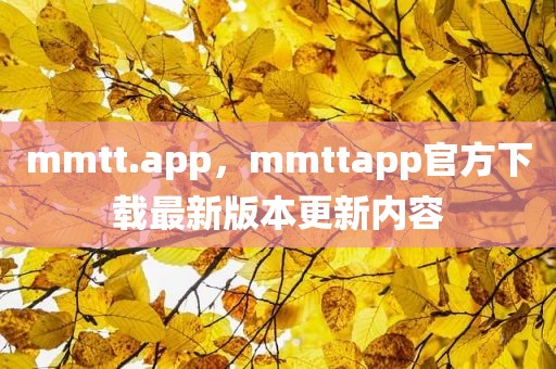 mmtt.app，mmttapp官方下载最新版本更新内容
