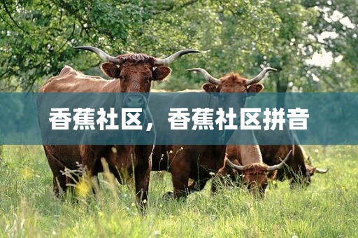 香蕉社区，香蕉社区拼音