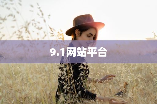 9.1网站平台