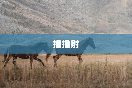 撸撸射