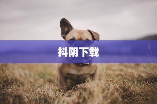 抖阴下载