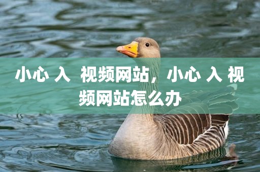 小心 入  视频网站，小心 入 视频网站怎么办