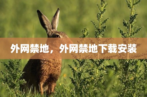 外网禁地，外网禁地下载安装