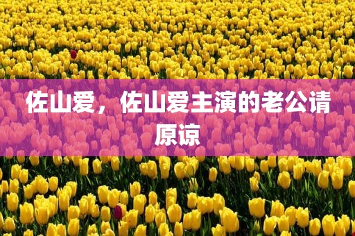 佐山爱，佐山爱主演的老公请原谅