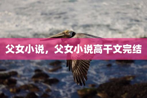 父女小说，父女小说高干文完结