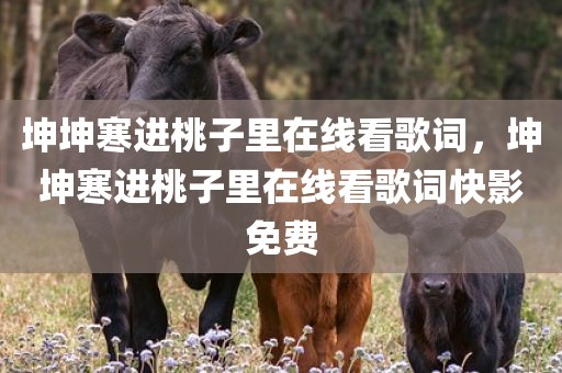 坤坤寒进桃子里在线看歌词，坤坤寒进桃子里在线看歌词快影免费