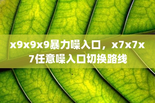 x9x9x9暴力噪入口，x7x7x7任意噪入口切换路线