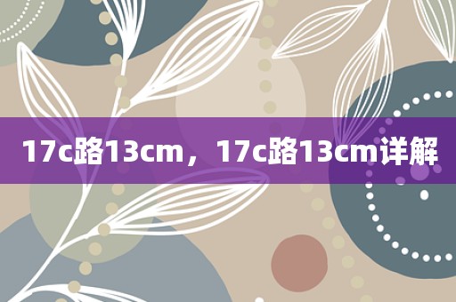 17c路13cm，17c路13cm详解