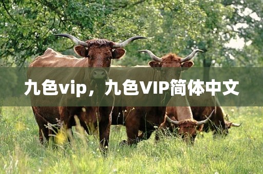 九色vip，九色VIP简体中文