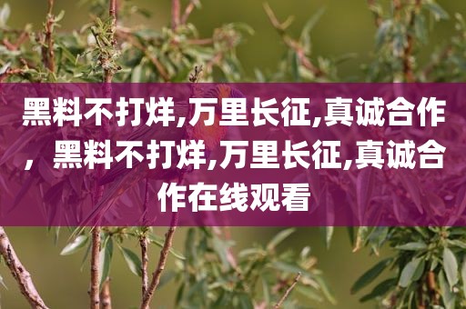 黑料不打烊,万里长征,真诚合作，黑料不打烊,万里长征,真诚合作在线观看