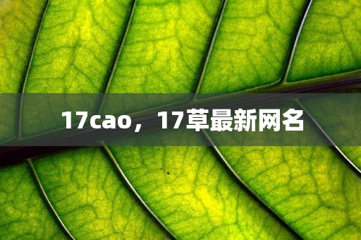 17cao，17草最新网名