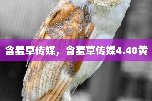 含羞草传媒，含羞草传媒4.40黄