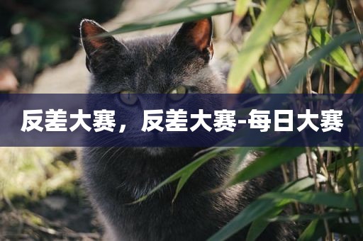 反差大赛，反差大赛-每日大赛
