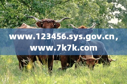 www.123456.sys.gov.cn，www.7k7k.com