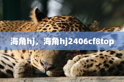 海角hj，海角hj2406cf8top