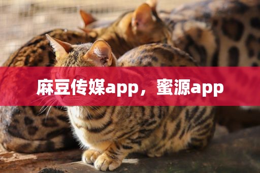 麻豆传媒app，蜜源app