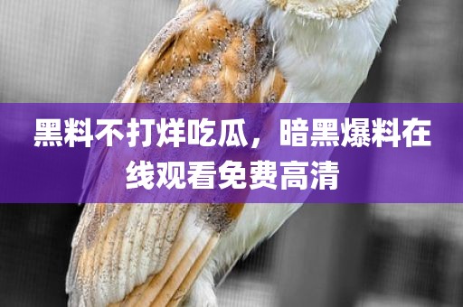黑料不打烊吃瓜，暗黑爆料在线观看免费高清