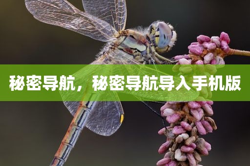 秘密导航，秘密导航导入手机版