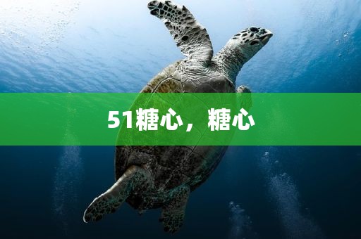 51糖心，糖心