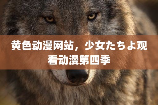 黄色动漫网站，少女たちよ观看动漫第四季