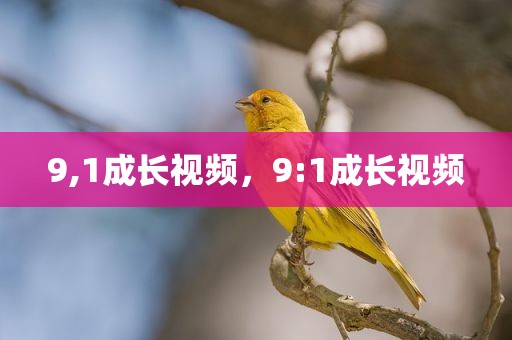 9,1成长视频，9:1成长视频