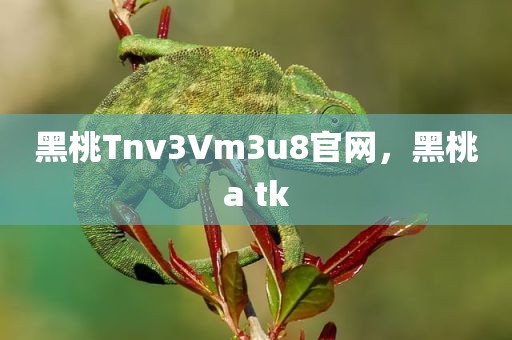 黑桃Tnv3Vm3u8官网，黑桃a tk
