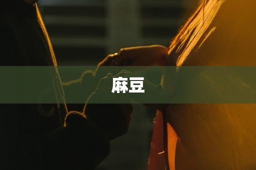 麻豆