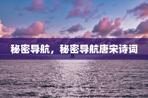 秘密导航，秘密导航唐宋诗词