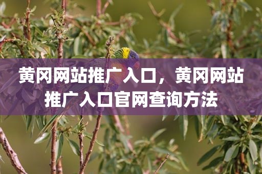 黄冈网站推广入口，黄冈网站推广入口官网查询方法