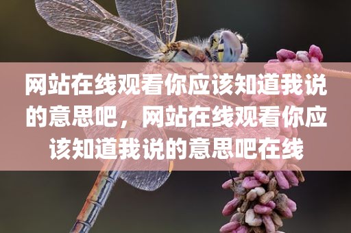 网站在线观看你应该知道我说的意思吧，网站在线观看你应该知道我说的意思吧在线