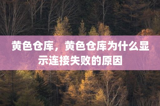 黄色仓库，黄色仓库为什么显示连接失败的原因