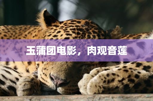 玉蒲团电影，肉观音莲