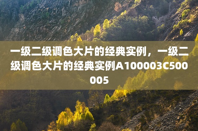 一级二级调色大片的经典实例，一级二级调色大片的经典实例A100003C500005