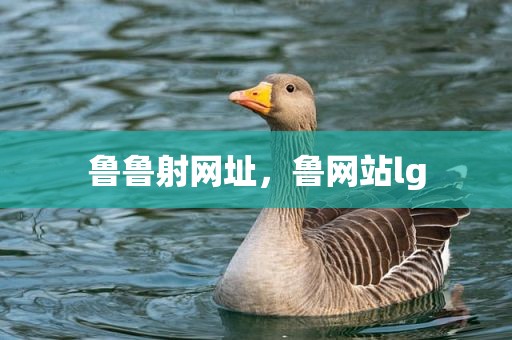 鲁鲁射网址，鲁网站lg