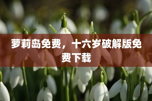 萝莉岛免费，十六岁破解版免费下载
