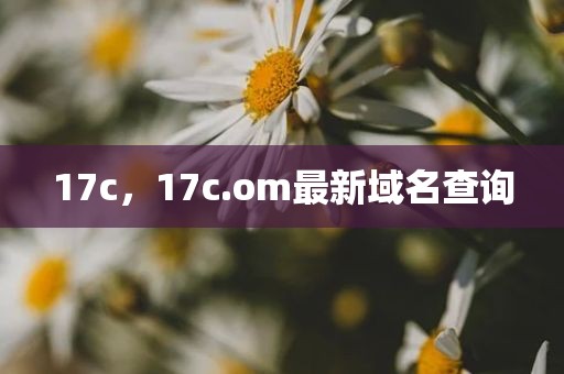 17c，17c.om最新域名查询