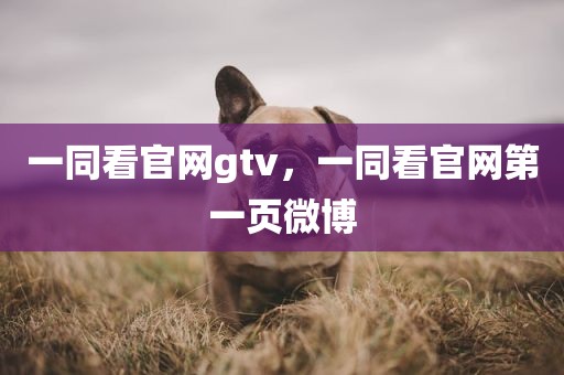 一同看官网gtv，一同看官网第一页微博