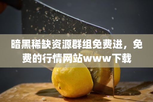暗黑稀缺资源群组免费进，免费的行情网站www下载