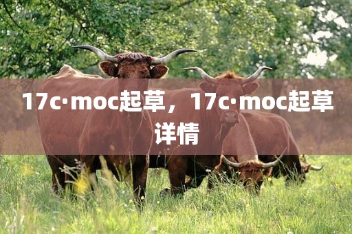 17c·moc起草，17c·moc起草详情